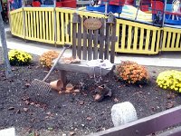 photos2011000338