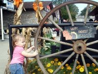 photos2011000341
