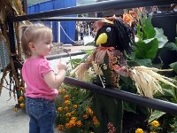 photos2011000343