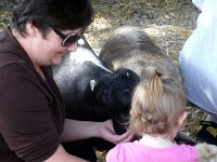 photos2011000347