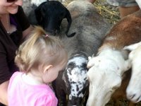photos2011000348