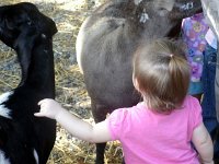 photos2011000350