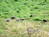 photos2011000377