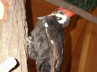 photos2011000387