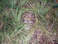photos2011000392