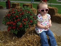 photos2011000446