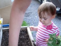photos2011000587