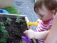 photos2011000588