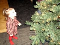 photos2011000698