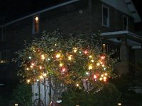 photos2011000915