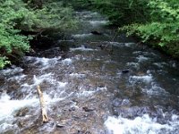 photos2011000931