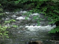 photos2011000932