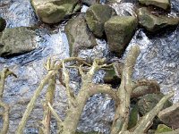 photos2011000986