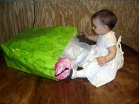 photos2011001002