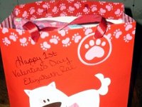photos2011001040