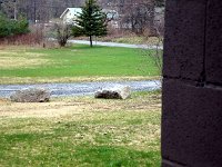 photos2011002963