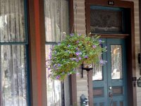 photos2011003003