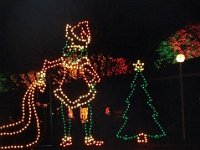 photos2011003027