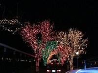 photos2011003040