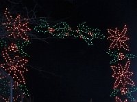 photos2011003046
