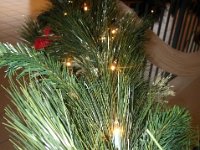 photos2011003175