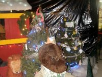 photos2011003086