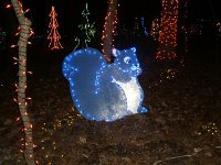 photos2011003087
