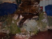 photos2011003092