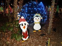 photos2011003099