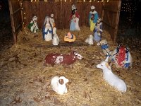photos2011003111