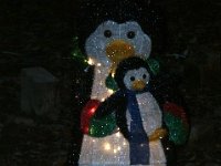 photos2011003115