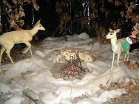 photos2011003116