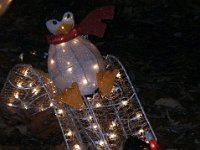 photos2011003117