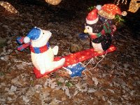 photos2011003118