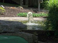 photos2011003249