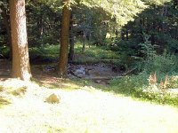 photos2011003277