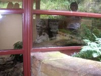 photos2011003600