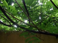 photos2011003619