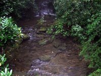 photos2011003623