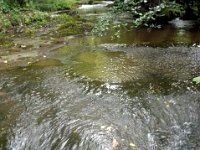 photos2011003624
