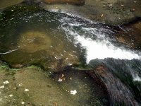photos2011003625