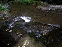 photos2011003626