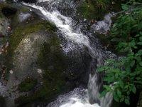 photos2011003627