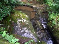 photos2011003629