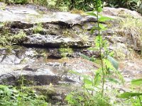 photos2011003631