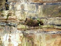 photos2011003632