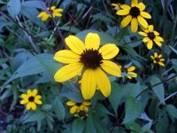 photos2011003636