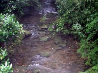 photos2011003638