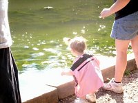 photos2011003329
