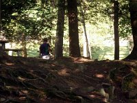photos2011003330